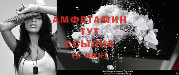 прущие грибы Волоколамск