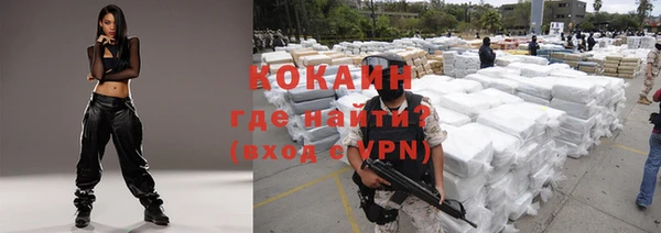 прущие грибы Волоколамск