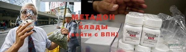 прущие грибы Волоколамск