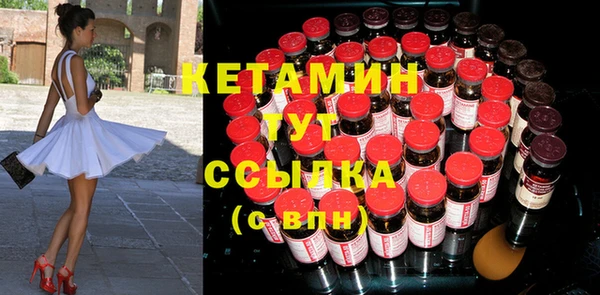 прущие грибы Волоколамск